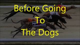 A Guide To Greyhound Racing Betting Part 1 Before Going To The Dogs [upl. by Veno]