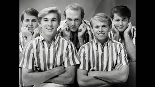 The Beach Boys  Apple Bottom Jeans 1966 [upl. by Einitsed]