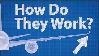 Winglets  How Do They Work Feat Wendover Productions [upl. by Sonnnie986]