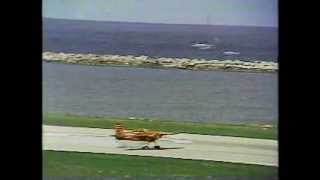 1991 Cleveland National Air Show Leo Loudenslager demonstration [upl. by Ecinreb780]