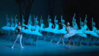 Jezioro Łabędzie  Swan Lake St Petersburg Festival Ballet [upl. by Sherborn]