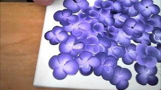 Demo zweifarbige kleine Blüten Blumen mit Acrylfarbe malen onestroke acrylic painting [upl. by Enairb861]