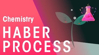 The Haber Process amp Its Environmental Implications  Reactions  Chemistry  FuseSchool [upl. by Annaek]