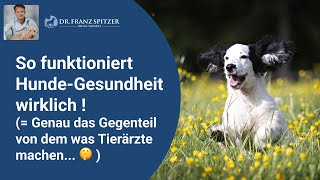 So funktioniert HundeGesundheit wirklich Das Gegenteil von dem was Tierärzte machen [upl. by Airelav]