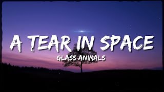 Glass Animals  A Tear In Space Airlock Lyrics [upl. by Pesvoh524]