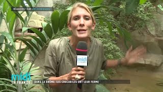 Dans la Drôme les crocodiles ont leur ferme [upl. by Notyap59]