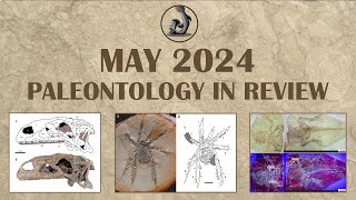 May 2024 Paleontology in Review [upl. by Terraj936]