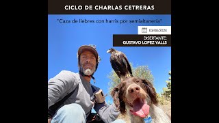 CHARLA Nº 7 GUSTAVO LÓPEZ VALLS quotLa caza de liebre con Harris mediante semialtaneríaquot [upl. by Nortal252]