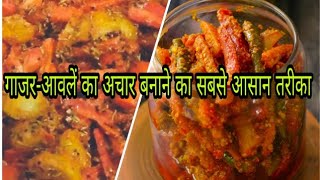 Gajar  Amla ka achar bnane ki sbse easy trick गाजरआवलें का स्वादिष्ट अचार कैसे बनाए [upl. by Eatnom693]