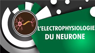 Electrophysiologie Du Neurone  INSEN Academy [upl. by Gitlow]