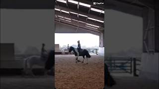 ❤️horse equestrian flatwork canter pony horsegirl [upl. by Weaver]