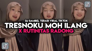 DJ TRESNOKU MOH ILANG  DJ SAMBEL TERASI X RUTINITAS RADONG VIRAL TIKTOK [upl. by Sekyere]