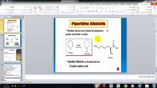 phytochemistry piperidinealkaloidspiperinecon بيبيريدين القلويد inelobelinepelleterine [upl. by Gula]