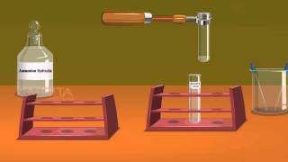 Detection of Elements Lassaigne’s Test  MeitY OLabs [upl. by Salita]