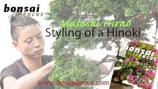 Masashi Hirao styling of a Hinoki cypress [upl. by Florry582]