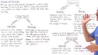 Autotrophs and Heterotrophs [upl. by Yelats]