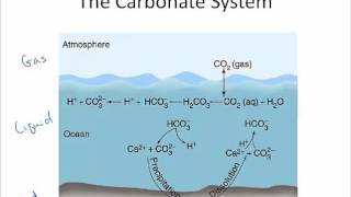 Water Chem Alkalinity Part 1 [upl. by Standley717]