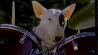 Spuds MacKenzie  Bud Light Commercial  1987 [upl. by Northrup601]