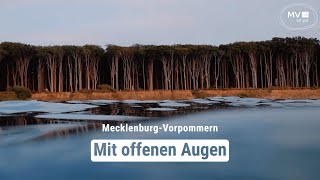 Sehnsucht nach Wasser und Weitblick  MecklenburgVorpommern  Das Urlaubsland [upl. by Tesler]