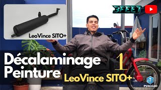 Vlog 13  Part 1  كيفاش تسرح شاكمة و صباغة  Unboxing  Décalaminage  Peinture  LEOVINCE SITO [upl. by Viki]