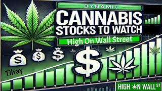 Tilray Raises Proceeds and Stock Chart Analysis [upl. by Odel]