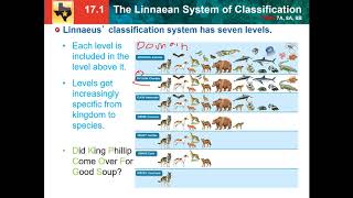 171 Linnaean system of classification [upl. by Cleo]