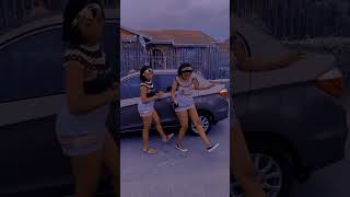 Amapiano 2024 dance challenge dance tiktok viralvideo viralshorts 2024 latest shorts [upl. by Neevan]