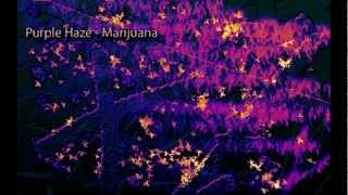 Binaural Beats  Marijuana High THC Beat Purple Haze Digital Drug [upl. by Tnarb242]