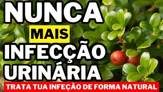 RECEITAS NATURAIS PARA CURAR INFECÇÃO URINÁRIA [upl. by Mannos]