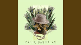 Canto das Matas [upl. by Naiva]