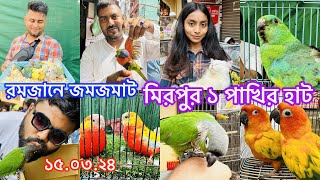 রমজানের প্রথম হাট কেমন হলো। মিরপুর ১ পাখির হাট। Mirpur 1 Pakhir Hat MurshedPets viral [upl. by Harrat]