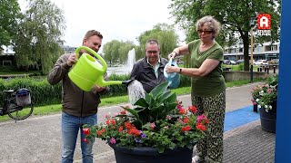 Zomerse kleuren in het dorpshart van HazerswoudeRijndijk [upl. by Attaymik]