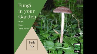 Fungi in Your Garden [upl. by Leik]