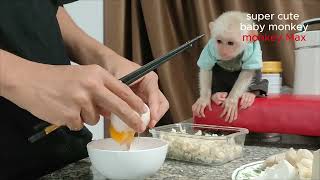 super cute monkey Max and dad cook tofu together [upl. by Noelani]