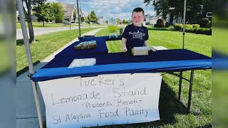 8yearold student using profits from lemonade stand to stock food pantry next to his school [upl. by Butch]