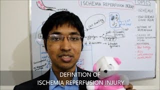 Ischemia Reperfusion Injury HD [upl. by Denver715]