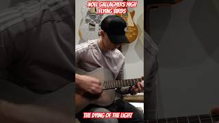 Noel Gallaghers High Flying Birds  The Dying Of The Light Acoustic Guitar Cover [upl. by Pickard90]