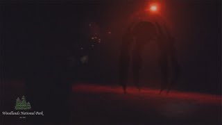 45ft Tall Walker Eats Campers  1976 Found Footage Woodlands National Park [upl. by Mahalia]