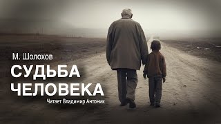 «Судьба человека» МШолохов Аудиокнига Читает Владимир Антоник [upl. by Ynafets776]