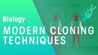 Modern Cloning Techniques  Genetics  Biology  FuseSchool [upl. by Mansur409]