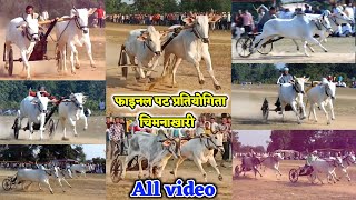 पट प्रतियोगिता चिमना खारी फाइनल ऑल वीडियो ।। bail Jodi Race 2022ox race Hroxrace [upl. by Fuld]