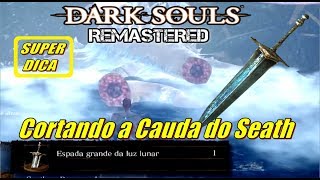 DARK SOULS REMASTERED Moonlight Greatsword  Cortando a Cauda do Seath How to cut off seaths Tail [upl. by Nnyladnarb]