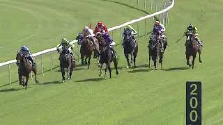 Sidenay Race Win Taree 2nd Feb 2024 [upl. by Lebaron]