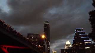 Mexican FreeTailed Bats at Congress Bridge in Austin Texas [upl. by Odnalo]