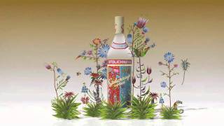 Stolichnaya limited edition 2010 by Yuri Gorbachev [upl. by Ancel]