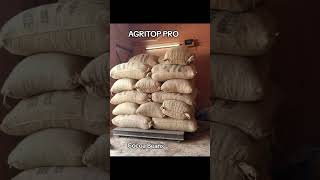 Cocoa Beans  AGRITOP PRO [upl. by Nagaem]