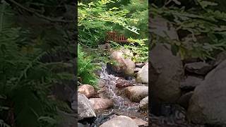 Lauritzen Gardens Waterfalls [upl. by Yerrok]