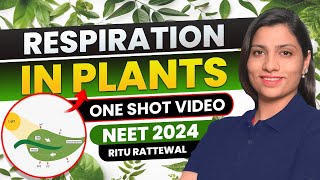 Respiration in Plants Class 11 one shot NCERT  All Concept amp PYQS  Ritu Rattewal  NEET Biology [upl. by Avahc]