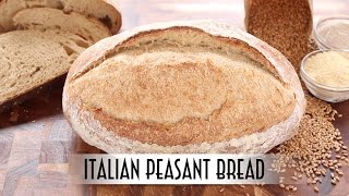 Italian Peasant Bread  Poolish Method [upl. by Fortunio]