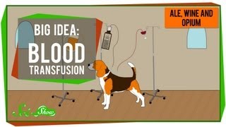 Big Idea Blood Transfusions [upl. by Eybbob]